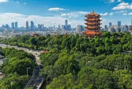 99一区二区三区精品人妻-探索网络世界的多元文化，99一区二区三区精品人妻的背后故事