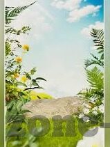 成人舞蹈视频简单易学-成人舞蹈，简单易学的视频教程，让生活舞动起来