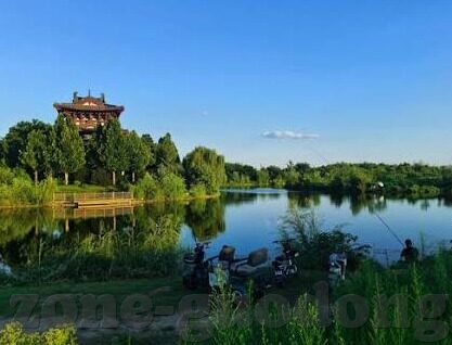 麻豆传媒种子下载-麻豆传媒类视频资源的安全下载与合理使用指南