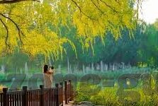 日韩精品人妻一区二区三区-探索日韩文化中的独特魅力，从精品人妻一区到三区的细腻视角