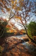 糖心app破解网址-警惕！糖心APP及其破解网址的潜在风险与真实陷阱