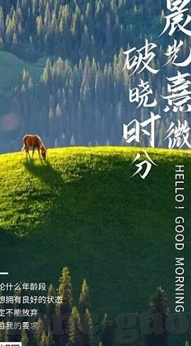 糖心vlog轻量版-大开眼界糖心vlog轻量版，记录生活，轻盈前行